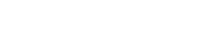 LG AI